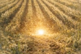 Nový projekt: cykl přednášek: "Poklad ukrytý v poli"